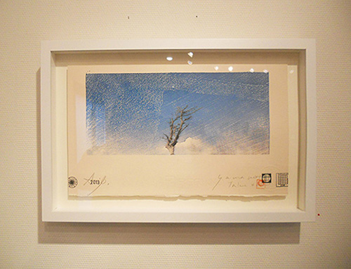 DSCN1049.JPG
