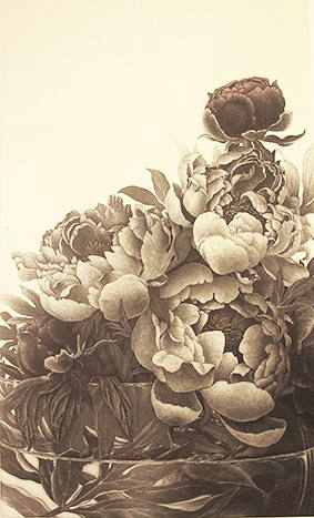 Paeonia lactiflora.jpg